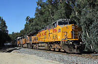 Click Here to see the photo!