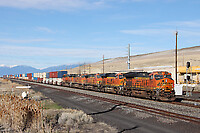 Click Here to see the photo!