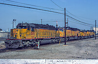 Click Here to see the photo!