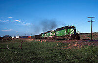 Click Here to see the photo!