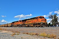 Click Here to see the photo!