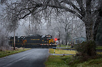 Click Here to see the photo!