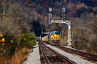 Click Here to see the photo!