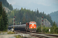 Click Here to see the photo!