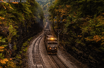 Current Photo of the Week Thumbnail
