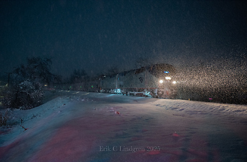 Current Photo of the Week Thumbnail