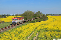 Click Here to see the photo!