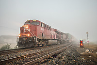 Click Here to see the photo!