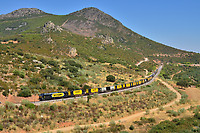 Click Here to see the photo!