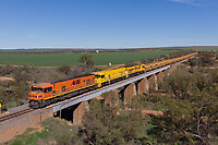 Click Here to see the photo!