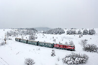 Click Here to see the photo!