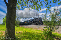 Click Here to see the photo!