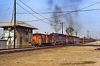 Click Here to see the photo!