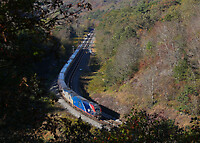 Click Here to see the photo!