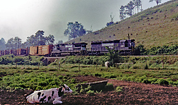 Click for large view!