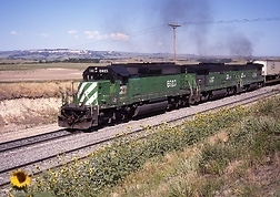 Click for large view!